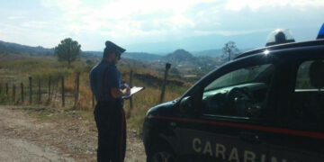 Truffa ai fondi Ue, denunciati due imprenditori per frodi agroalimentari ed erogazioni pubbliche