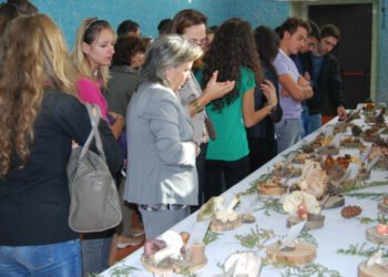 XVIII^ mostra micologica “Città di Catanzaro” nel Parco della Biodiversità Mediterranea