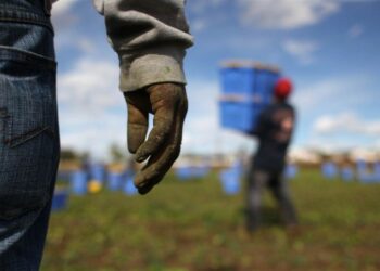 La legge sul Caporalato ad un anno dall’approvazione