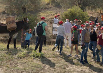 “La Festa della Vendemmia” tra profumi di uve e filari di viti della Cantina Librandi di Cirò Marina