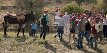 “La Festa della Vendemmia” tra profumi di uve e filari di viti della Cantina Librandi di Cirò Marina