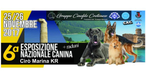 600 cani in passerella nel Palazzetto dello Sport di Cirò Marina per l'Esposizione nazionale Canina