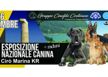 600 cani in passerella nel Palazzetto dello Sport di Cirò Marina per l’Esposizione nazionale Canina