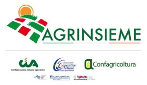 Agrinsieme su polemiche IGP Olio Calabria