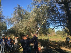 All’Istituto Tecnico Agrario di Rossano una giornata sulla biodiversità (1)