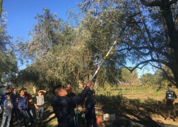 All’Istituto Tecnico Agrario di Rossano una giornata sulla biodiversità