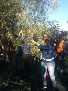 All’Istituto Tecnico Agrario di Rossano una giornata sulla biodiversità (2)