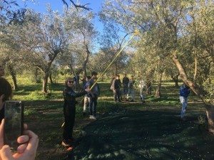 All’Istituto Tecnico Agrario di Rossano una giornata sulla biodiversità (3)