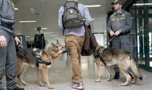 Arrestato spacciatore di stupefacenti vicino alle scuole cittadine