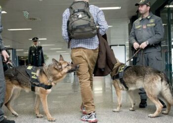 Arrestato spacciatore di stupefacenti vicino alle scuole cittadine