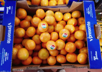 Arrivano anche dalla Calabria gli agrumi 100% italiani per la Fondazione Telethon