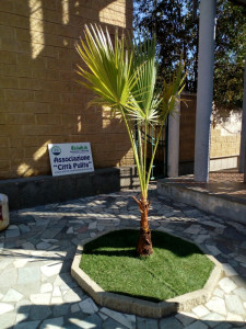 Associazioni e Cittadini in campo per la Giornata Ecologica nell'area della Chiesa di Sant'Antonio28