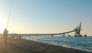 Campionato Provinciale Pesca Sportiva di Surf Casting sulle spiagge di Punta Alice a Cirò Marina (3)