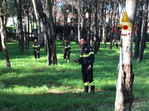 Catanzaro corso TAS di primo livello per i Vigili del Fuoco (1)