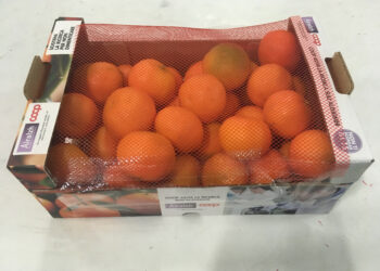 Le Clementine di Calabria IGP nei punti vendita Coop a sostegno della ricerca sull’Alzheimer