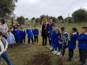 Crosia, un Ulivo davanti ad ogni Scuola (3)