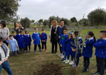 Crosia, un Ulivo davanti ad ogni Scuola