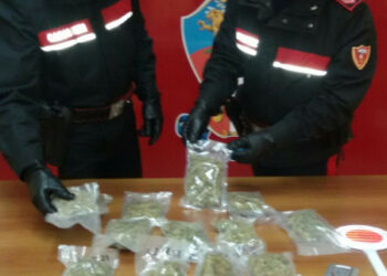 Crotone: arrestato per detenzione di marijuana ai fini di spaccio