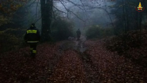 Dispersi due cacciatori nel bosco, ritrovati dai Vigili del Fuoco (1)