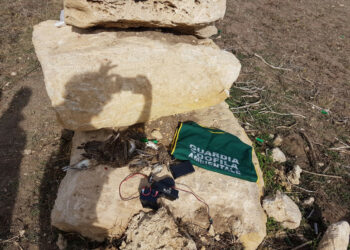 FareAmbiente Crotone: turismo venatorio e mancato rispetto delle regole, serve più vigilanza