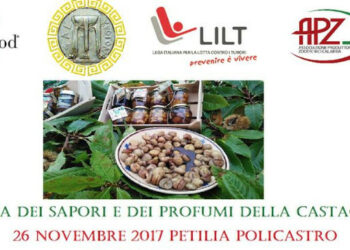 Festa dei sapori e dei profumi della Castagna a Petilia Policastro
