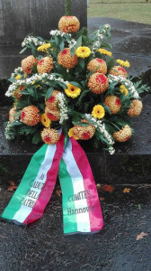 Germania Giorno dell’unità nazionale e delle forze armate italiane (2)