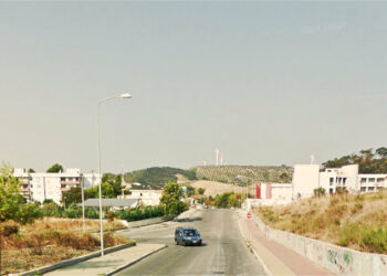 Il 19 novembre a Crotone la “Festa dell’albero” in via Peppino Impastato