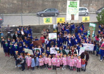 Il 21 novembre celebrata la Festa dell’Albero a Cariati