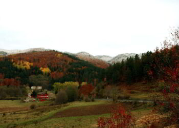 Il Parco Nazionale della Sila al fianco della popolazione e del sindaco di Cotronei