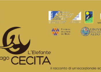 Il Parco Nazionale della Sila e la Soprintendenza presentano al Centro Visite ‘Cupone’ le ultime scoperte