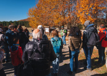 Il foliage nel Parco Nazionale della Sila protagonista su stampa e TV, in attesa dell’Unesco