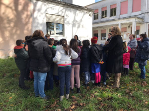 LOrdine degli Agronomi-Forestali di Catanzaro e l'I.C. Mater Domini celebrano la Giornata dell’albero