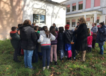 L’Ordine degli Agronomi-Forestali di Catanzaro e l’I.C. “Mater Domini” celebrano la Giornata dell’albero