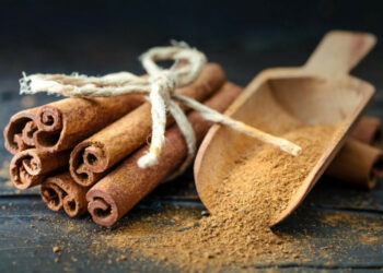 La Cannella può aiutare ad attaccare il grasso e combattere l’obesità