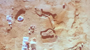 Oliverio La scoperta sul Cecita rafforza la candidatura della Sila a patrimonio dell’Unesco (1)