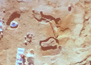 Oliverio: La scoperta sul Cecita rafforza la candidatura della Sila a patrimonio dell’Unesco