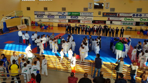 Pioggia di medaglie per il Team di TaeKwonDo del M° Martino al Campionato Interregionale di ‘Forme’ (3)
