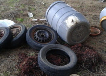 Rinvenuta una discarica abusiva nella Pineta di Cirò Marina