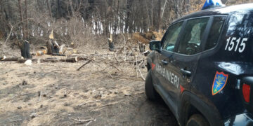Tre uomini sorpresi a tagliare alberi nella pineta di Suvereto a Isola Capo Rizzuto, Arrestati