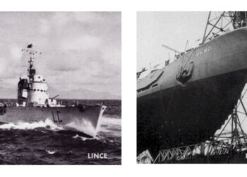 La guerra a Punta Alice: i siluramenti del sommergibile Remo al largo e della torpediniera Lince