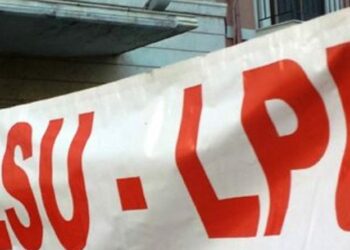 Assemblea esterna lavoratori ex Lsu-Lpu contrattualizzati