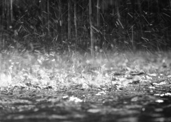 Allerta Meteo: oggi 18 novembre, Scuole Chiuse a Cirò Marina, Strongoli, Umbriatico e Casabona