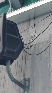 Atti vandalici al Palazzetto dello Sport di Strongoli (2)