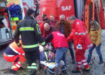 Cade da un albero, soccorso dai Vigili del Fuoco