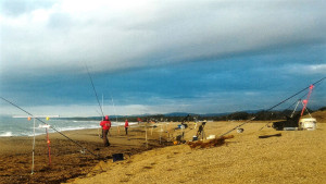 Concluso il Campionato Provinciale Pesca Sportiva di Surf Casting - FIPSAS Crotone 2017 (7)