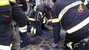 Cucciolo di cane caduto all’interno di una presa d'aria, recuperato dai Vigili del Fuoco (1)
