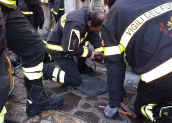 Cucciolo di cane caduto all’interno di una presa d’aria, recuperato dai Vigili del Fuoco