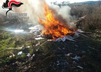 Distruggono con il fuoco rifiuti speciali a Rocca di Neto, denunciate tre persone