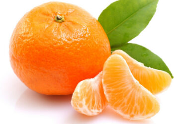 Elogio del Mandarino, un toccasana per la nostra salute