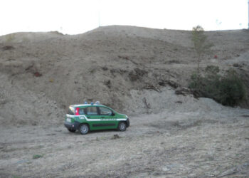 Estirpa due ettari di bosco, area sequestrata dai Carabinieri Forestali
